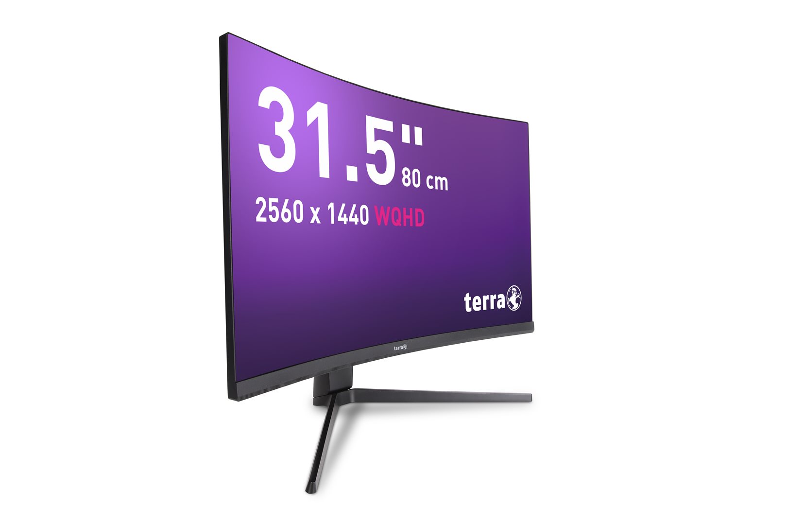 TERRA LCD/LED 3285W HA 2K VA CURVED black HDMI/DP/USB-C – Bild 8